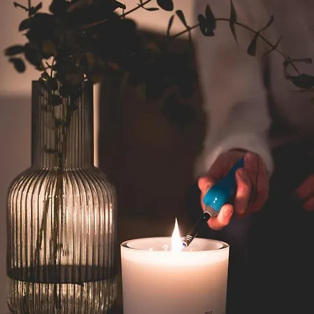 Snoring Bastards * Ostenda