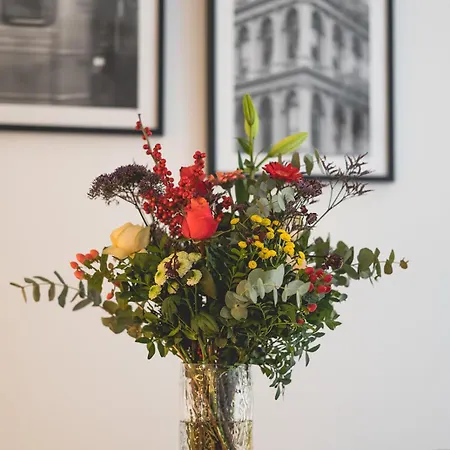 Snoring Bastards Apartment *