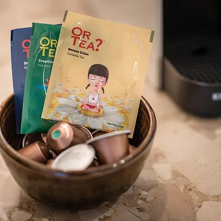 Snoring Bastards Apartament