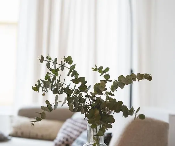 דירה Snoring Bastards אוסטנדה