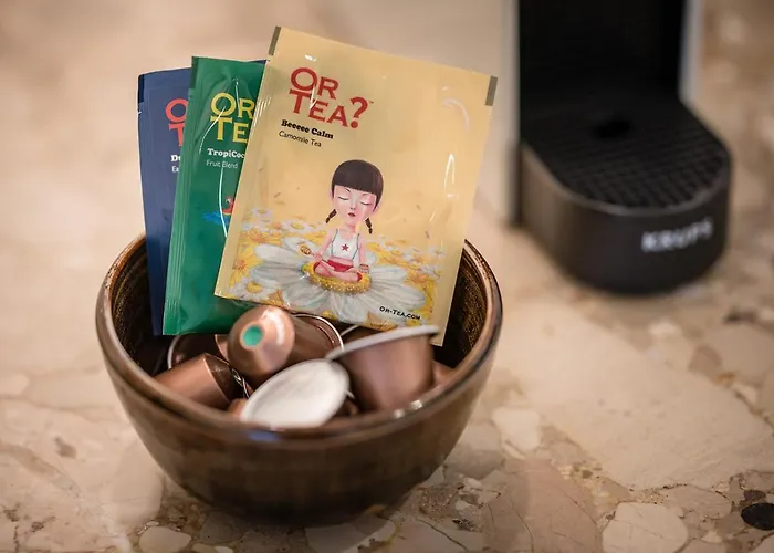 Snoring Bastards דירה